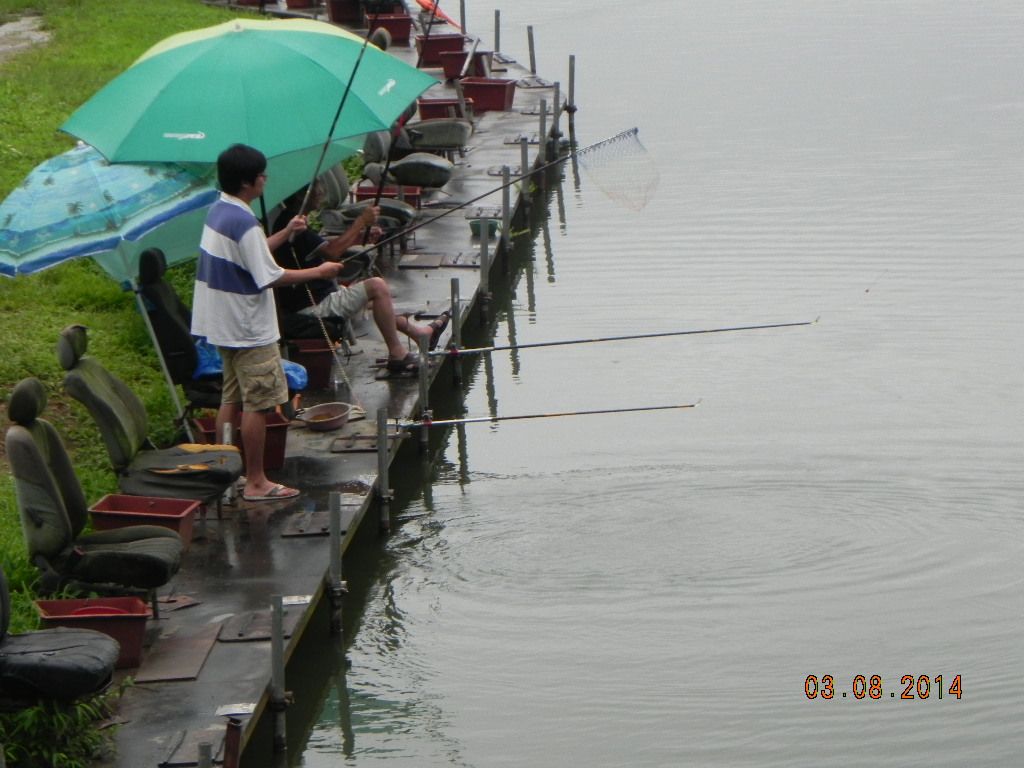 DSCN7819.JPG