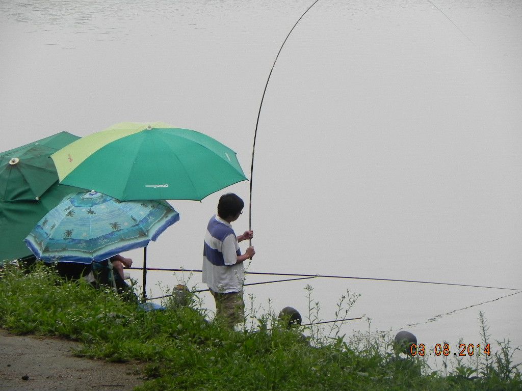 DSCN7814.JPG