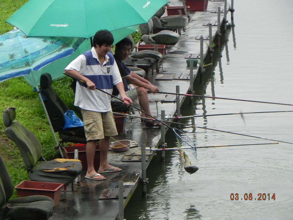 DSCN7823.JPG