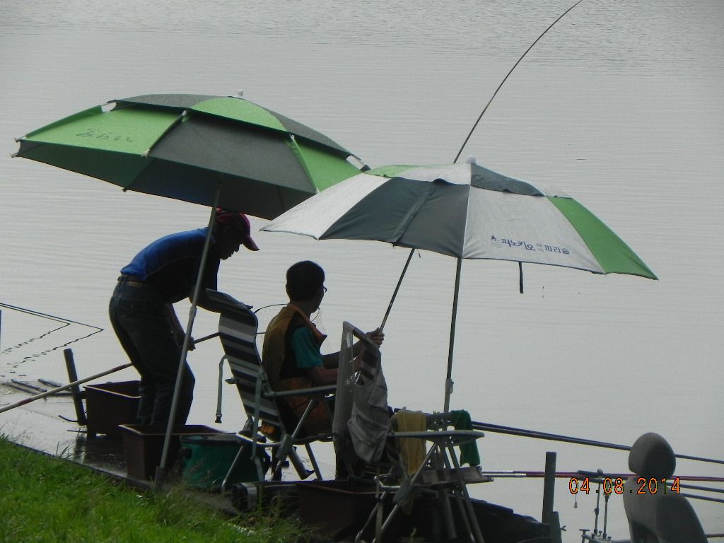 DSCN7849.JPG