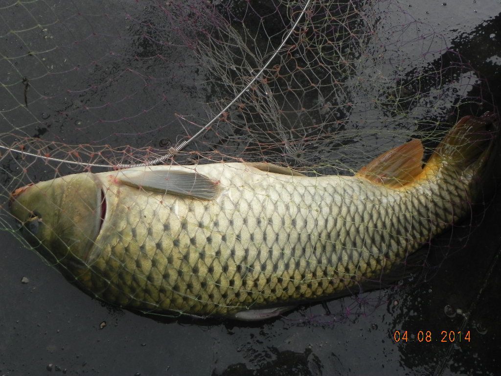 DSCN7856.JPG