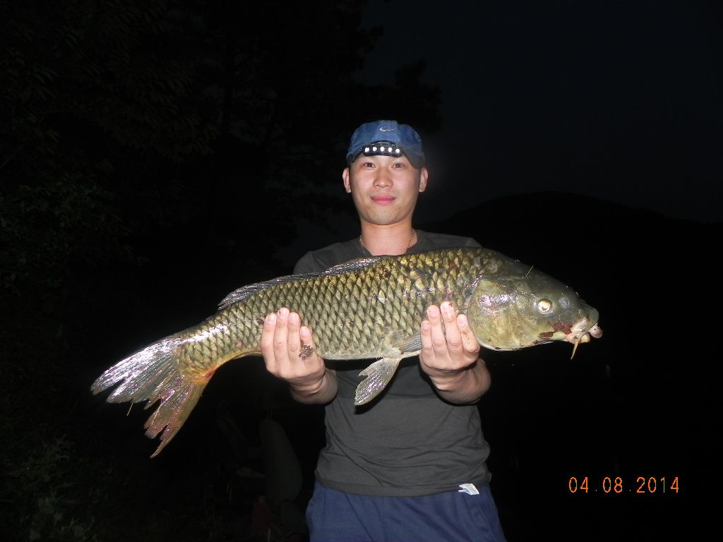 DSCN7868.JPG