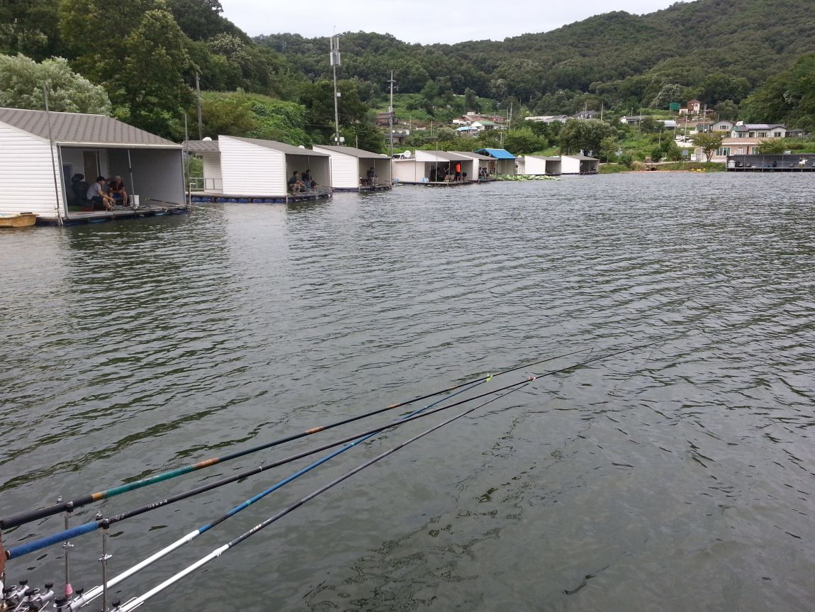 20140802_181701.jpg