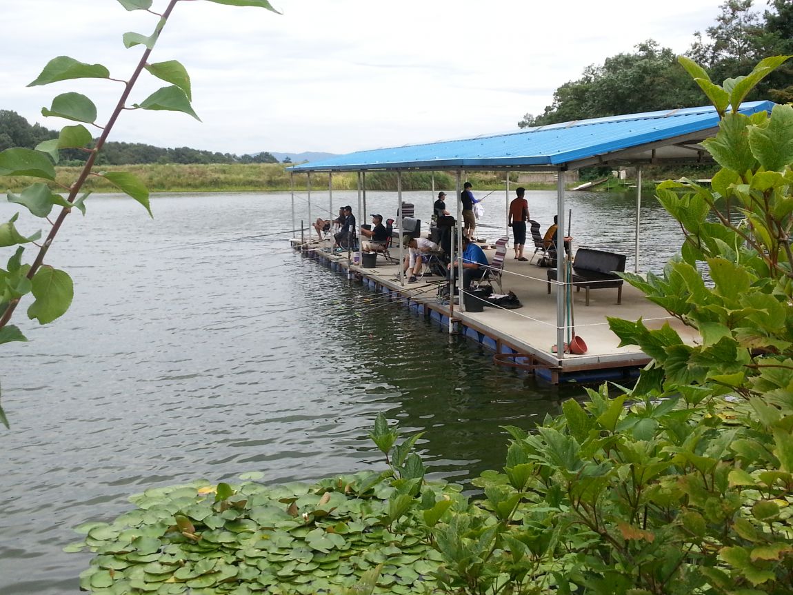 20140802_181515.jpg