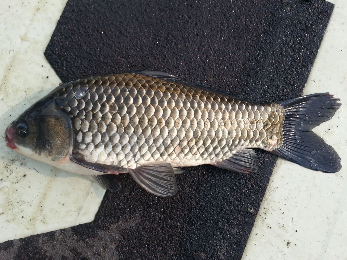 20140805_155132.jpg