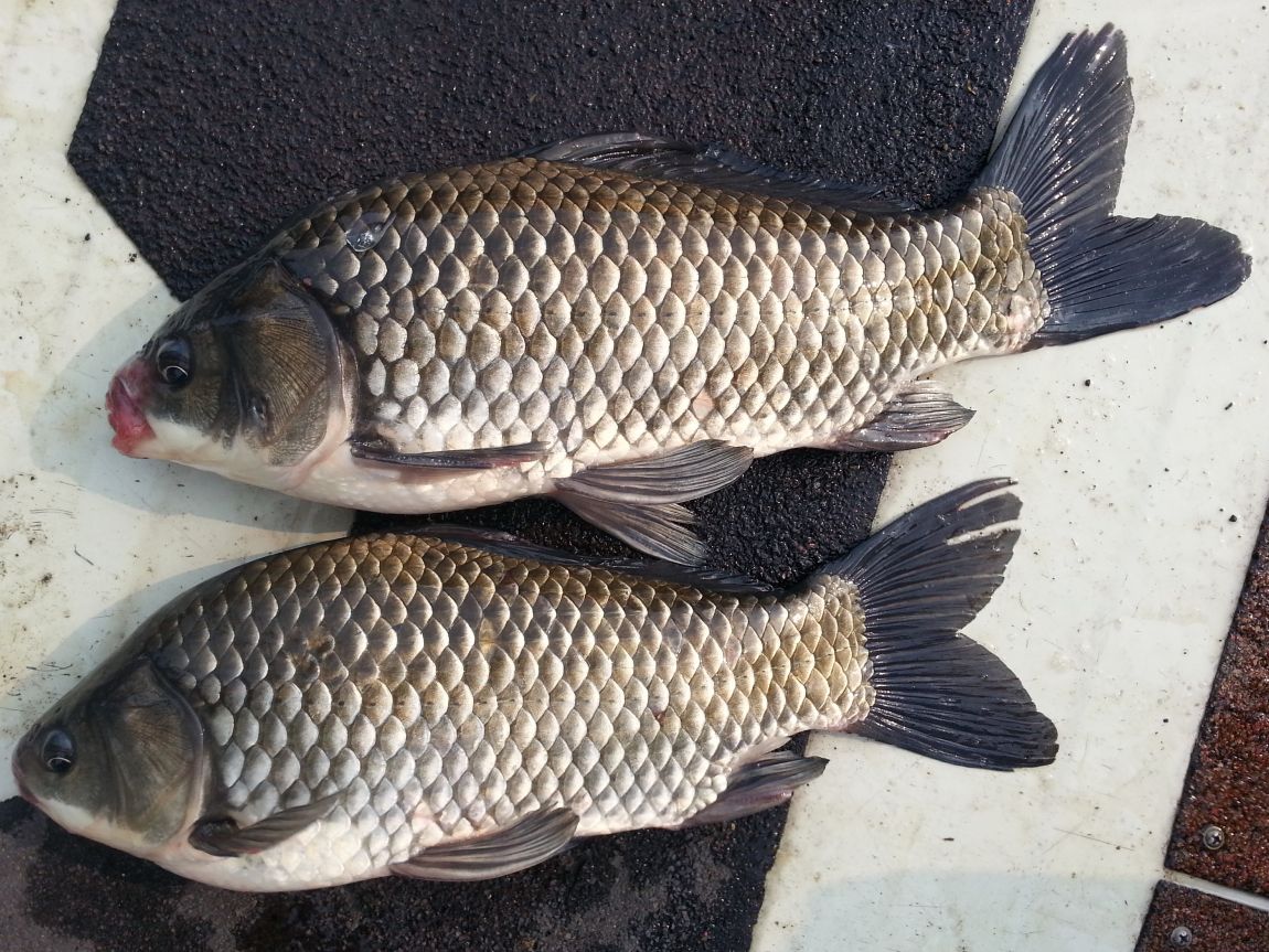 20140805_155137.jpg
