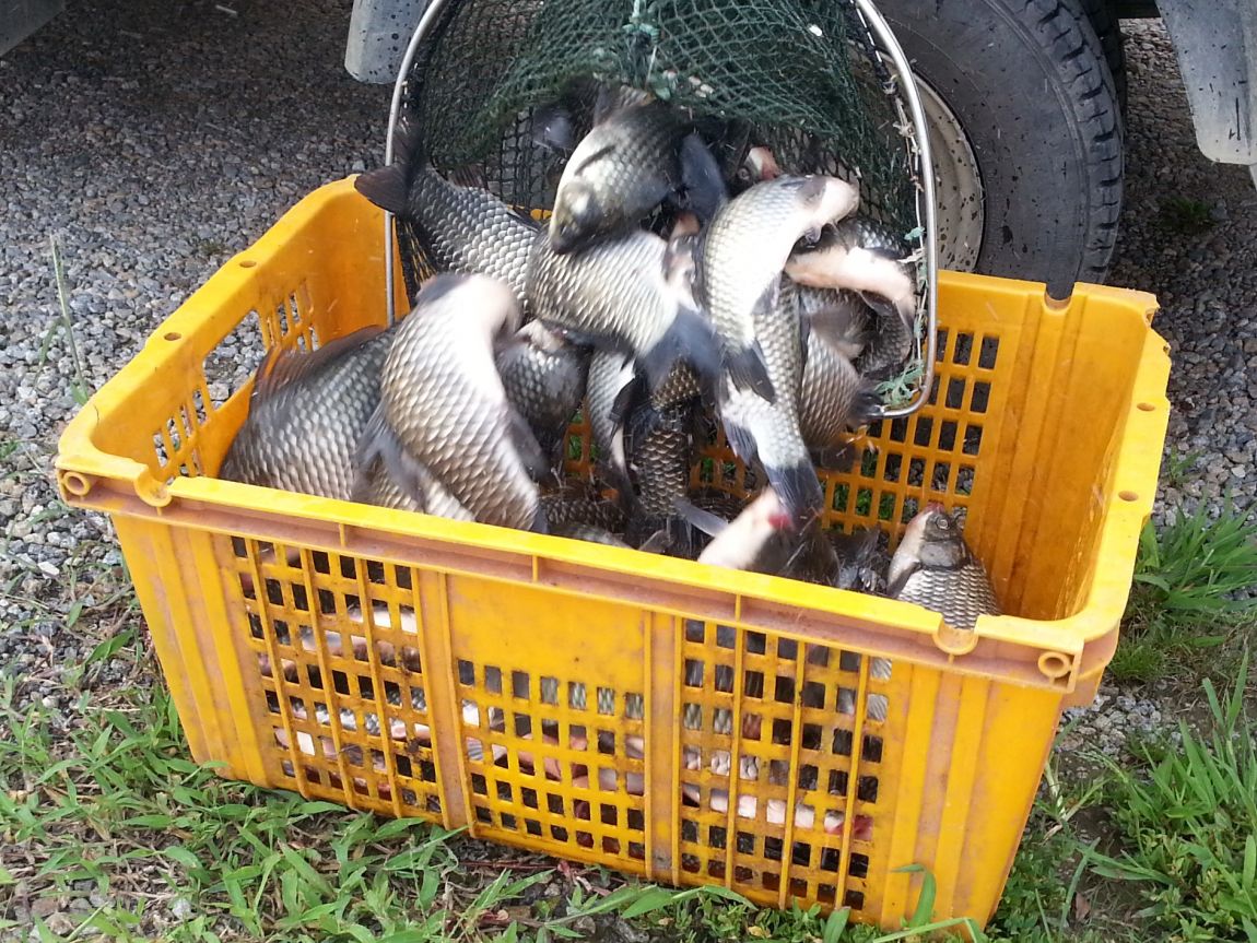 20140805_154522.jpg