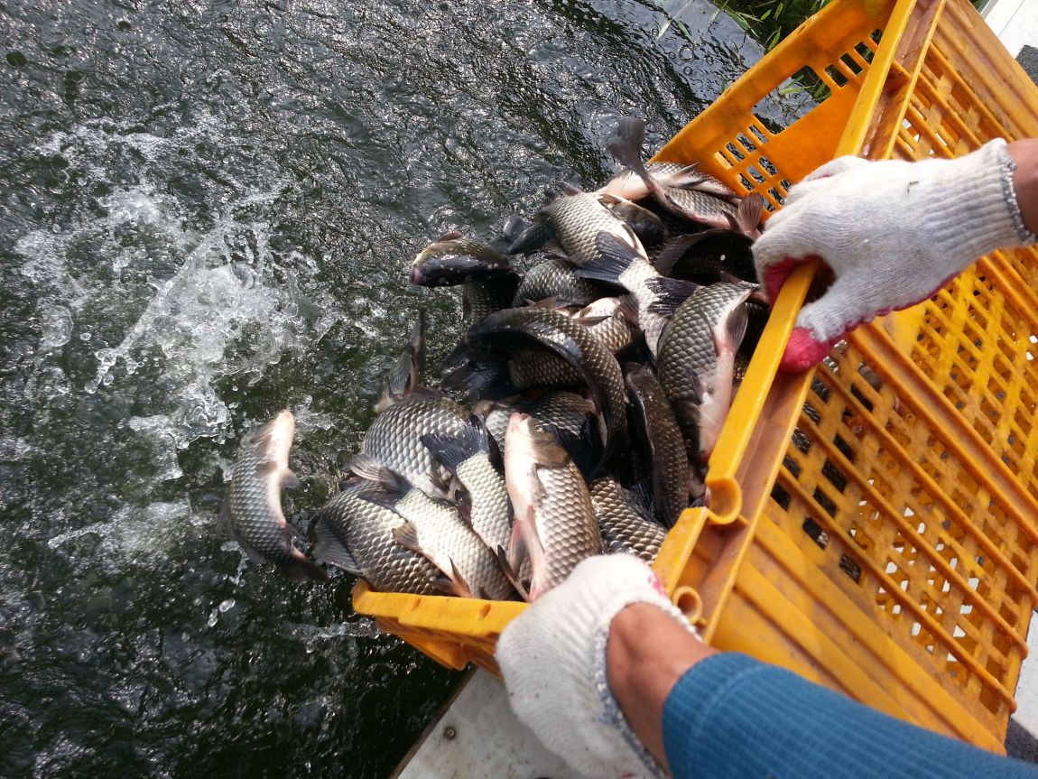 20140805_154619.jpg