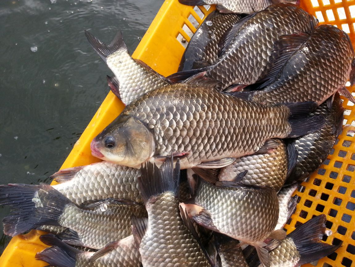 20140805_155205.jpg