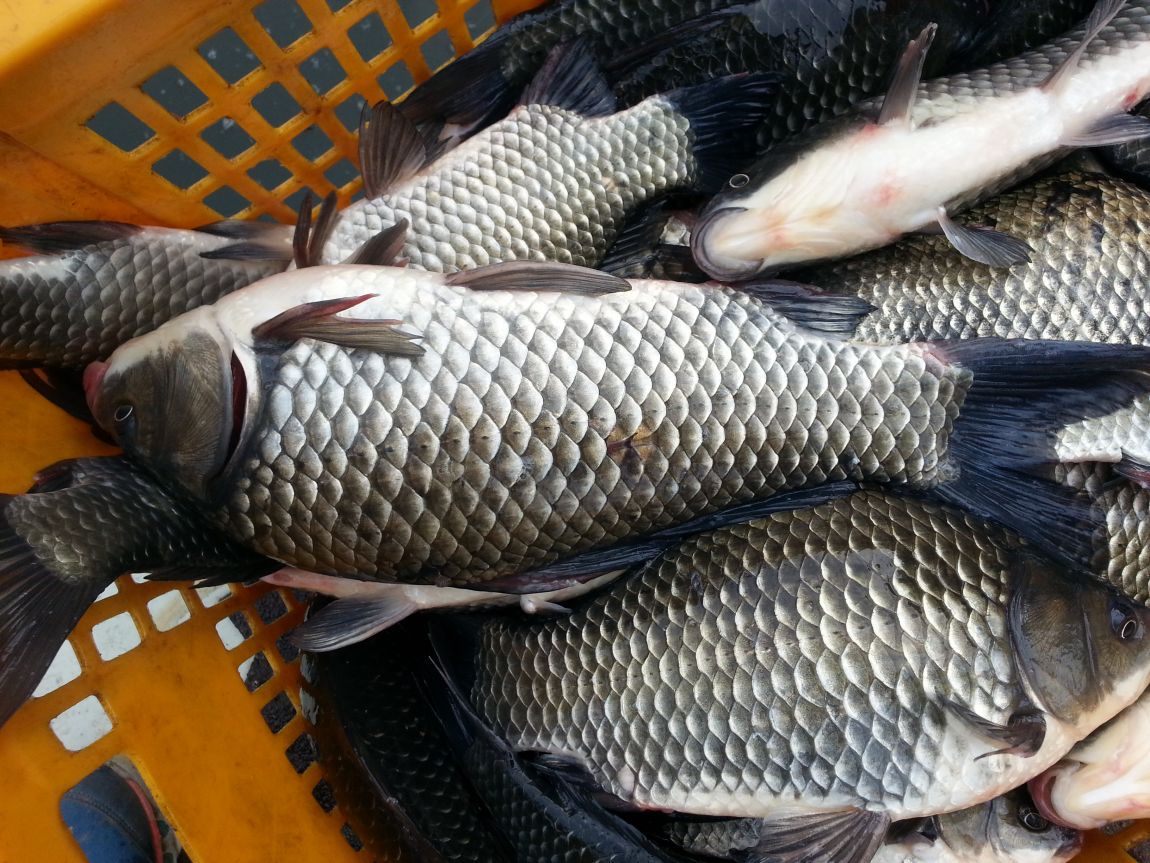 20140805_154934.jpg