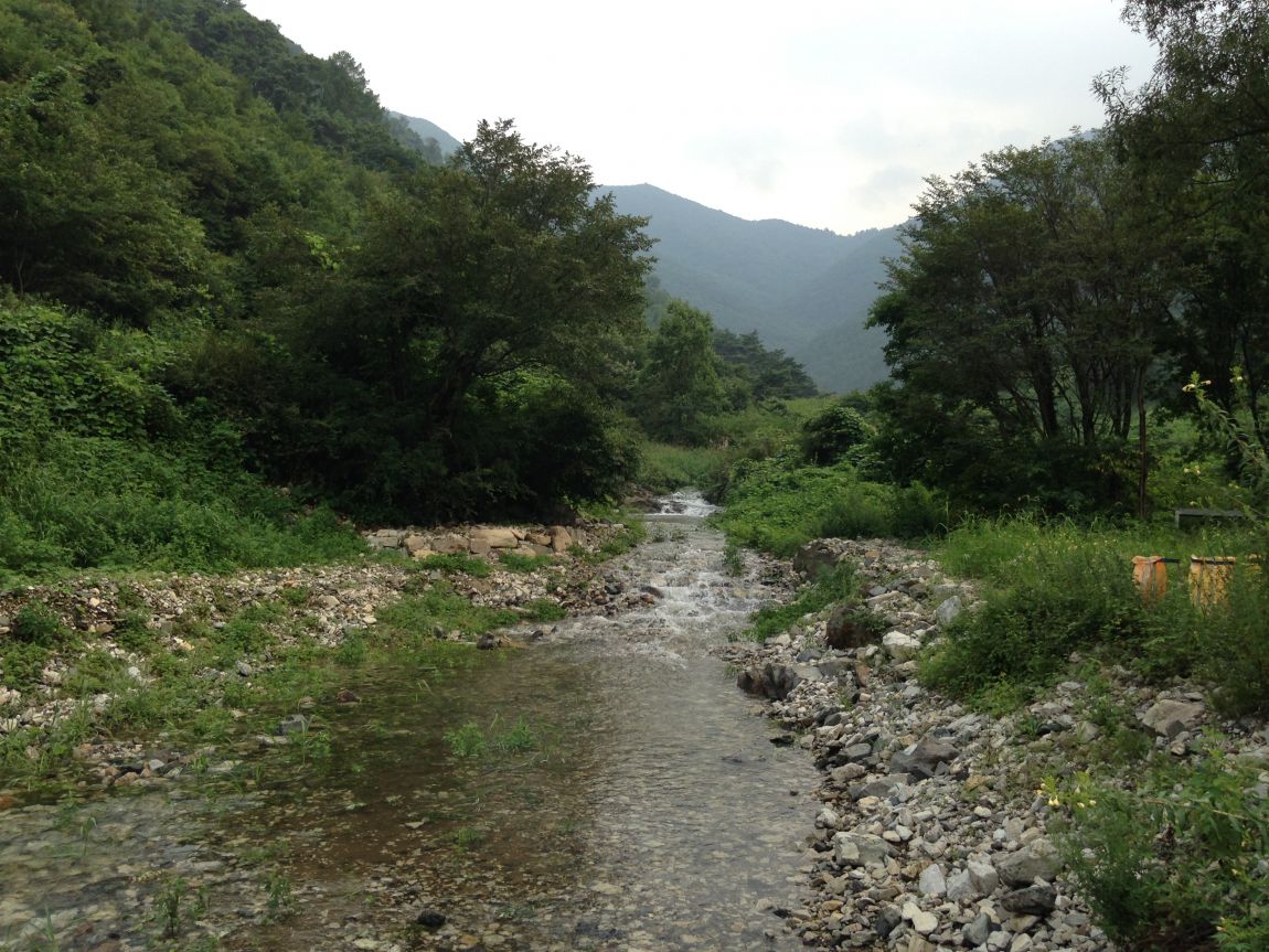 ���� 001.jpg