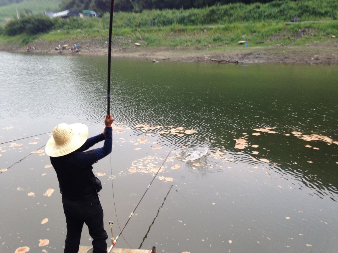 ���� 003.jpg