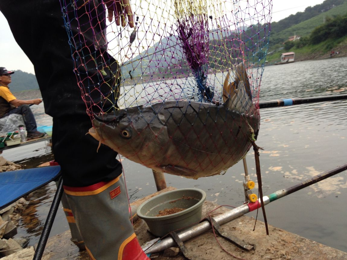 ���� 004.jpg