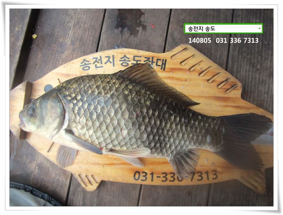 IMG_0019.JPG copy.jpg