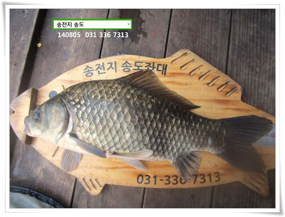 IMG_0020.JPG copy.jpg