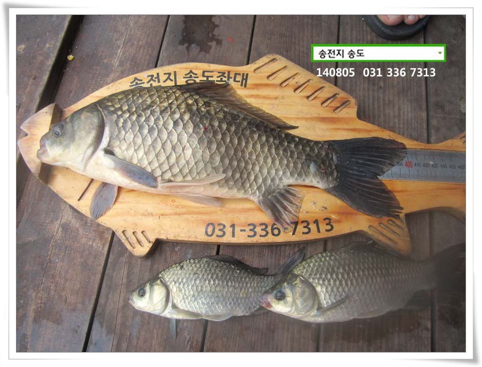 IMG_0023.JPG copy.jpg