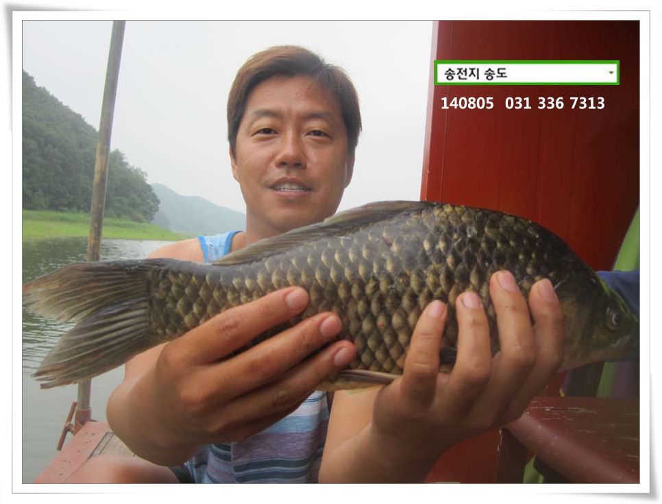 IMG_0029.JPG copy.jpg