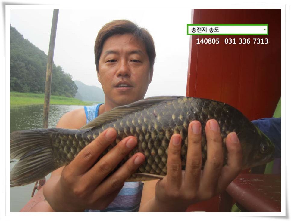 IMG_0030.JPG copy.jpg