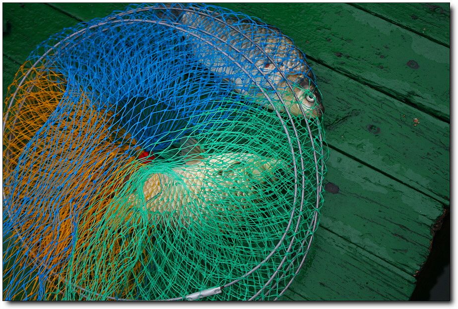 7�������� 1346.jpg