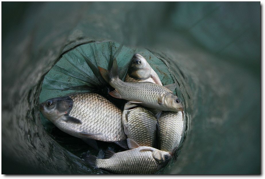 7�������� 1396.jpg