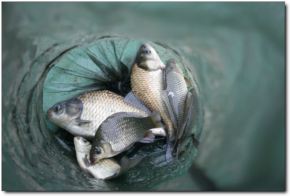 7�������� 1401.jpg