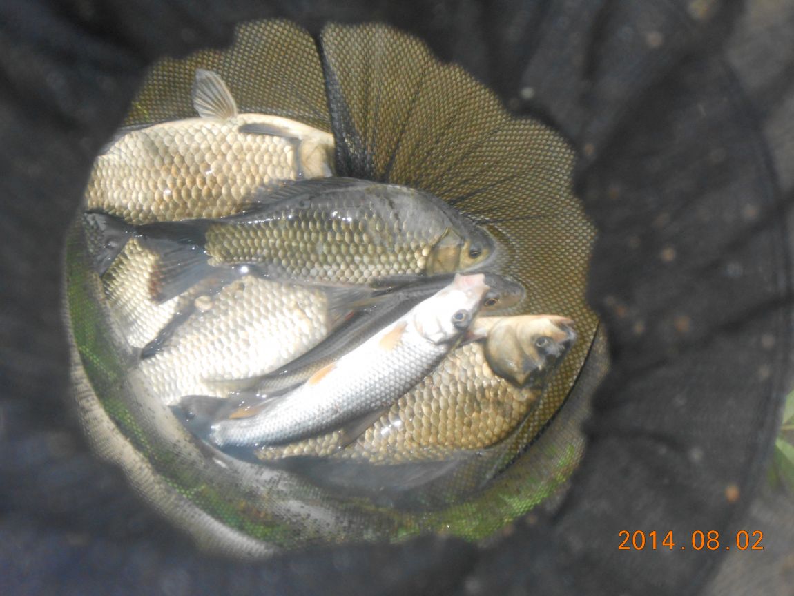 DSCN2055.JPG