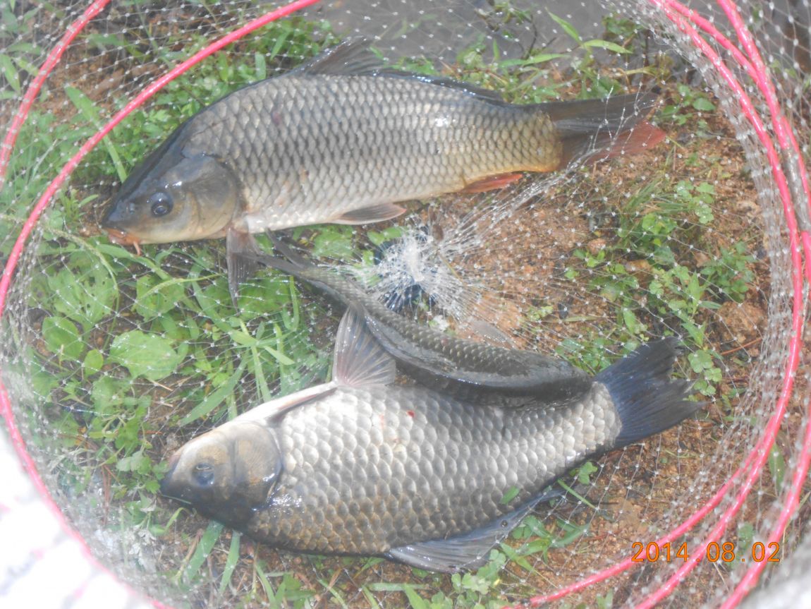 DSCN2056.JPG