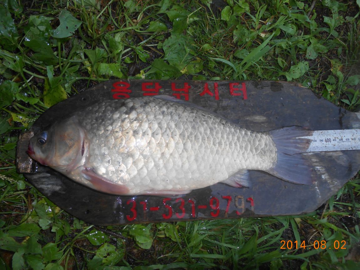 DSCN2059.JPG