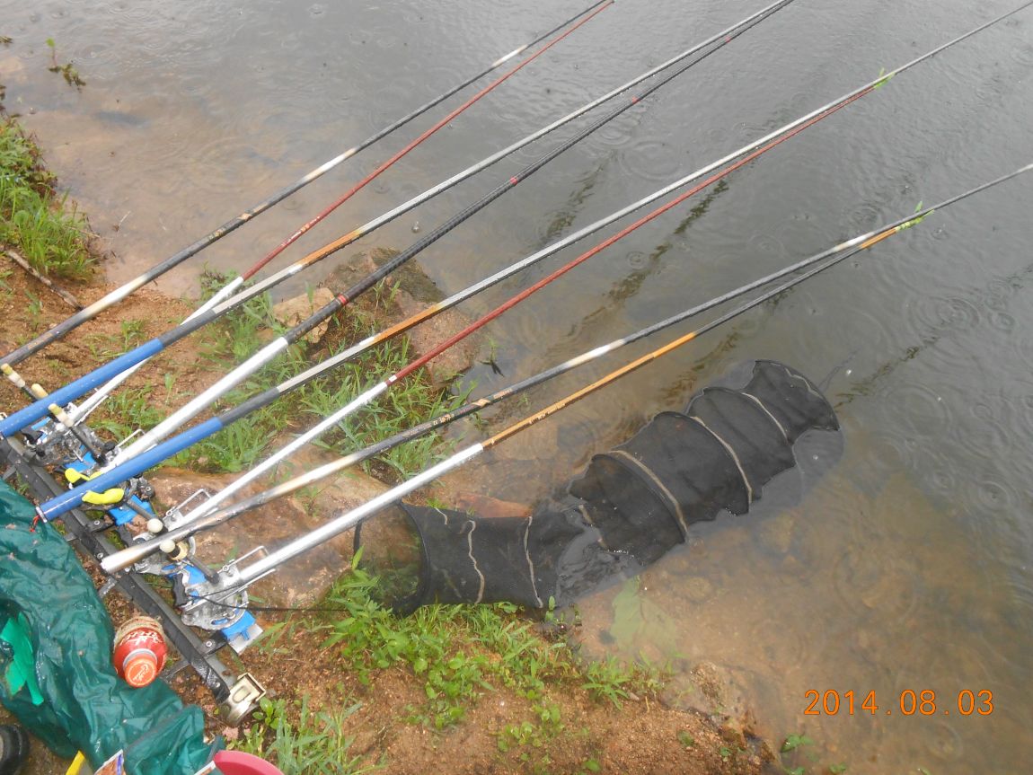 DSCN2072.JPG