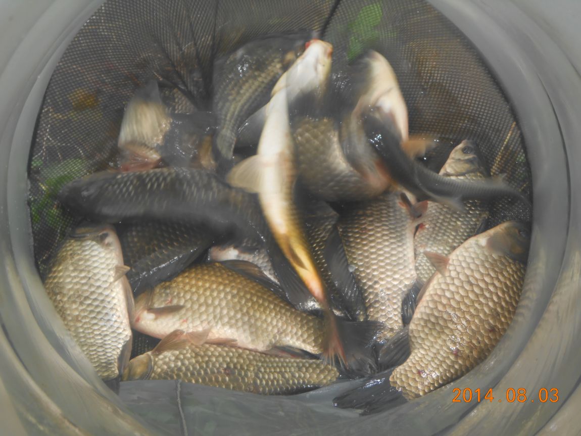 DSCN2085.JPG