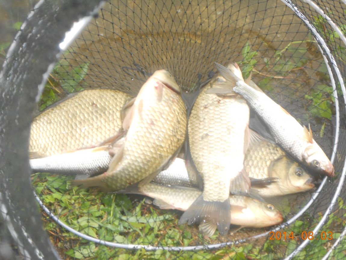 DSCN2087.JPG