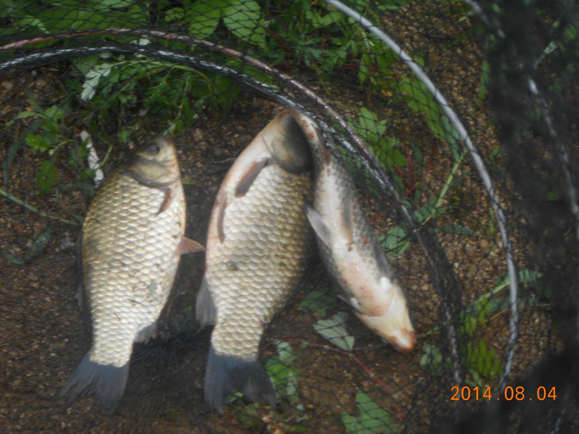 DSCN2093.JPG
