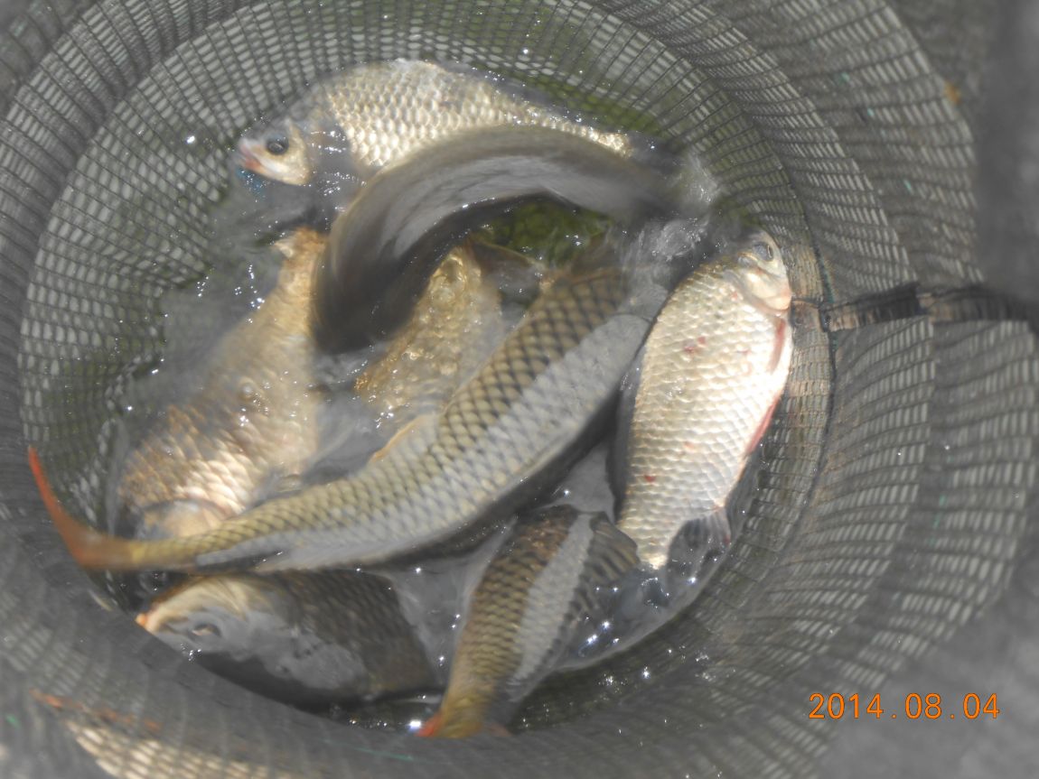 DSCN2095.JPG
