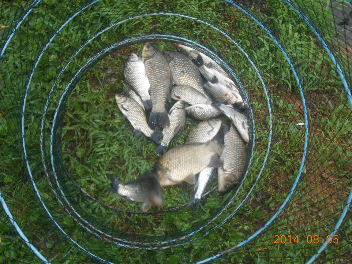 DSCN2096.JPG