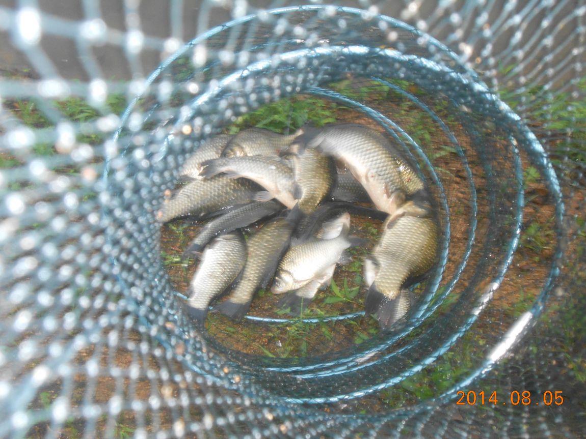 DSCN2098.JPG