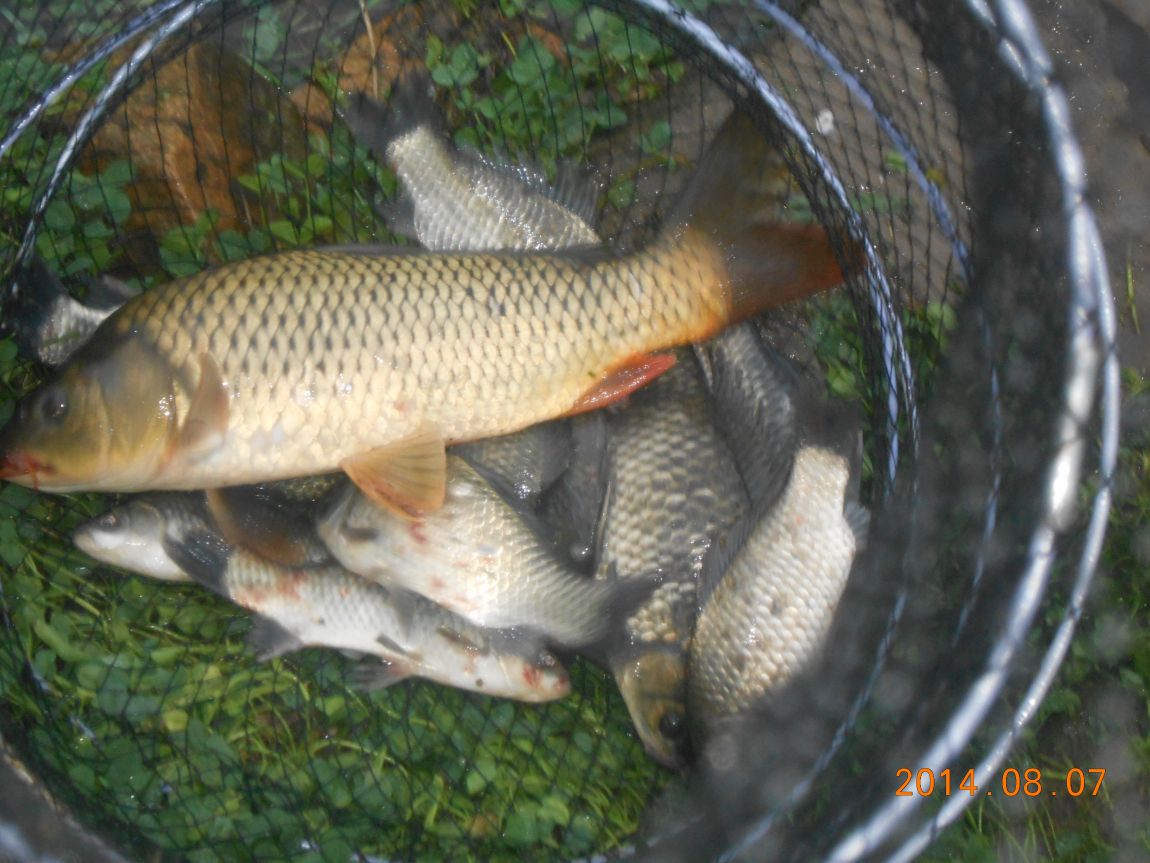 DSCN2101.JPG