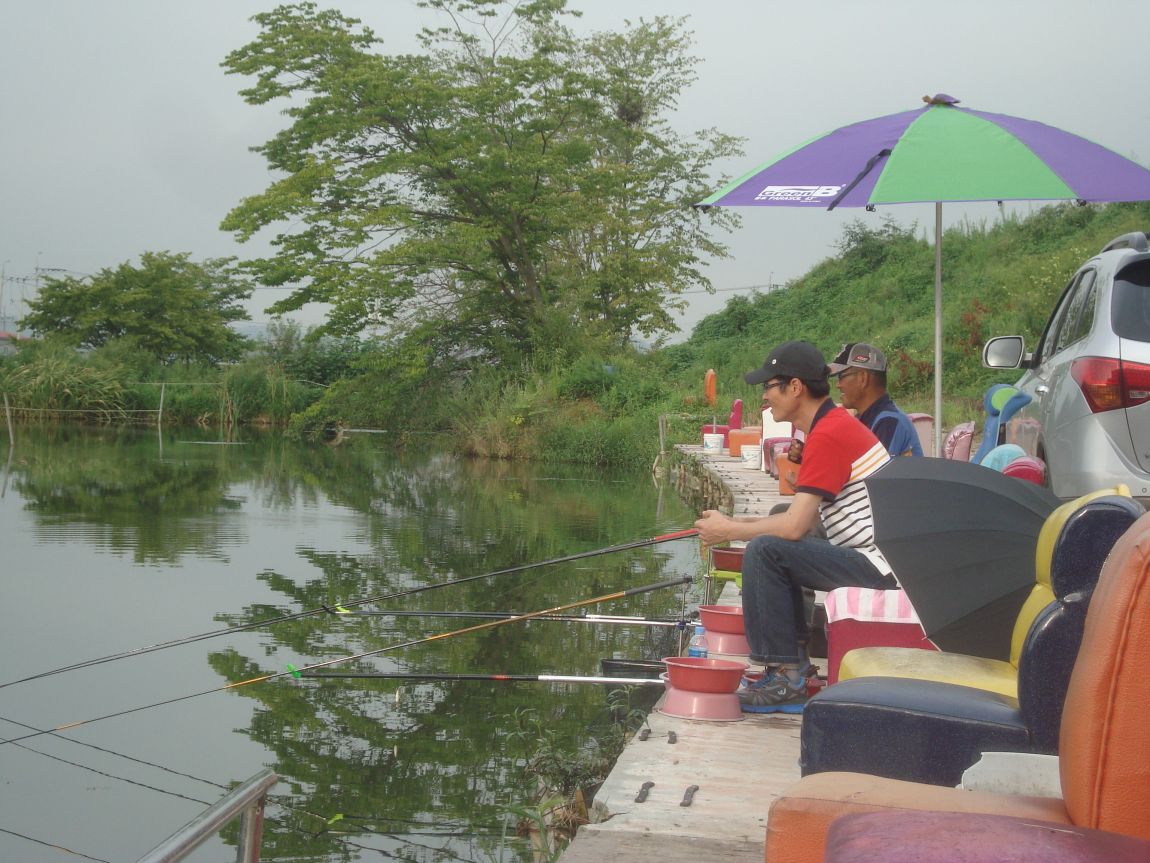 2014-8-7 045.JPG