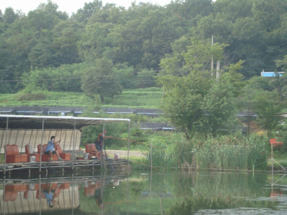 2014-8-7 046.JPG