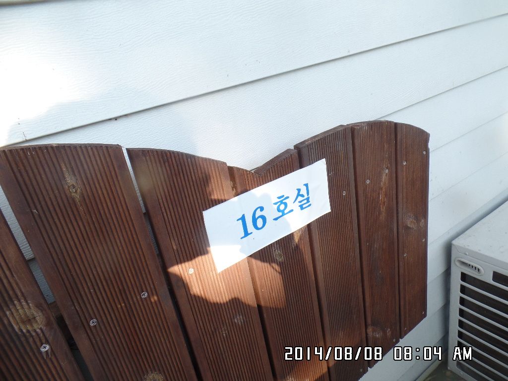SAM_1355.JPG