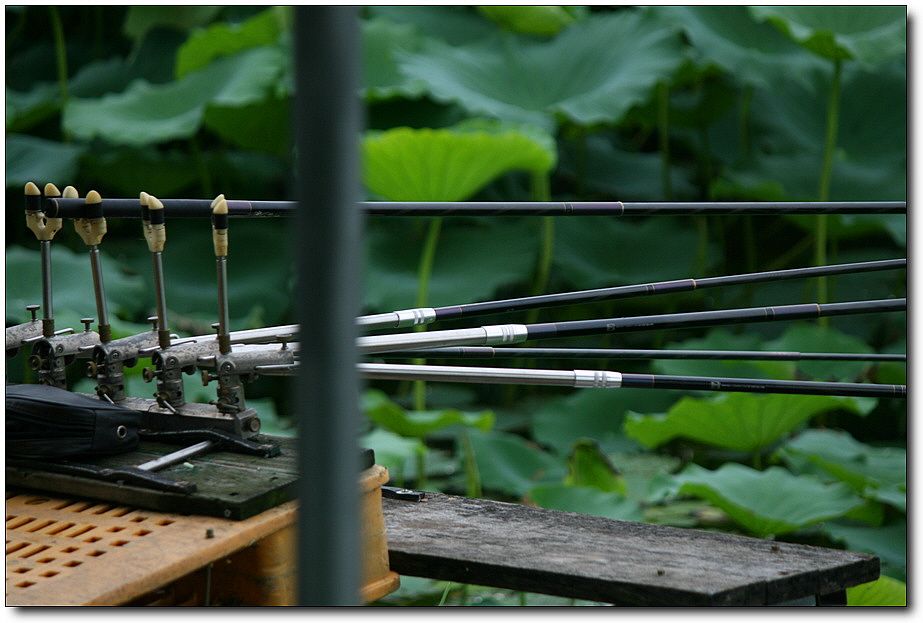 7�������� 1452.jpg