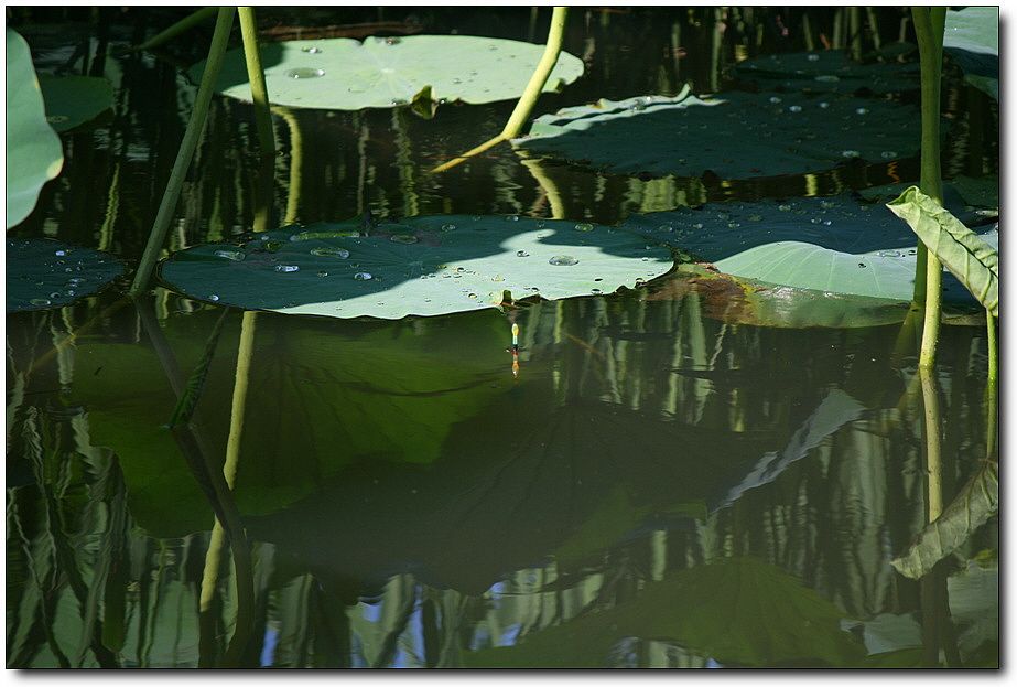 7�������� 1707.jpg