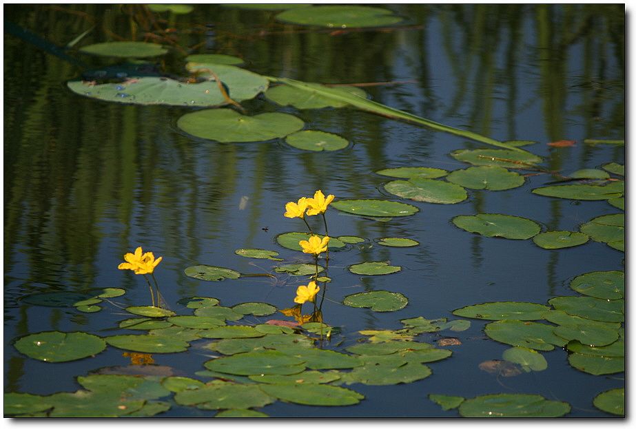 7�������� 1709.jpg