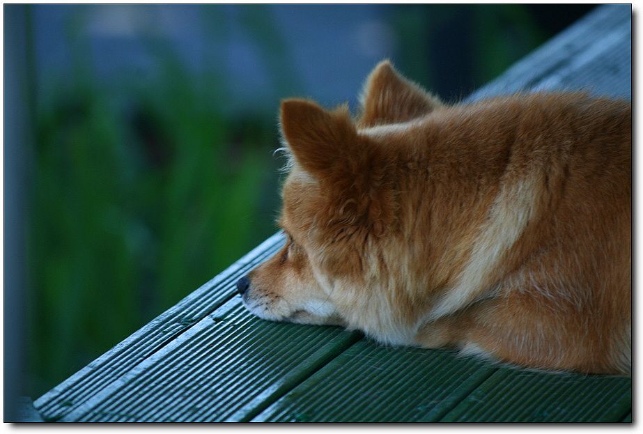 7�������� 1714.jpg