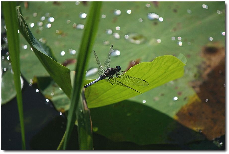 7�������� 1728.jpg