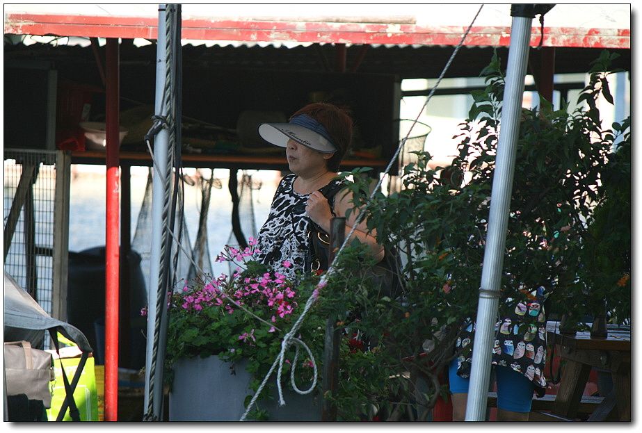 7�������� 1731.jpg