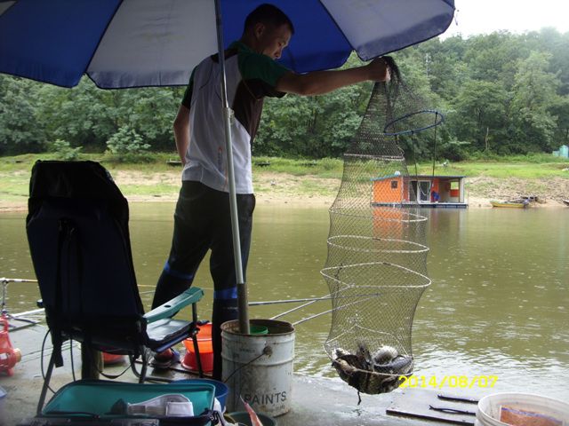SDC14807.jpg