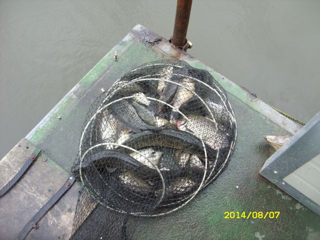 SDC14806.jpg