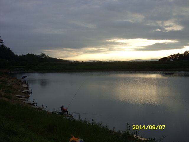 SDC14815.jpg
