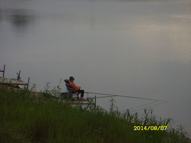 SDC14816.jpg