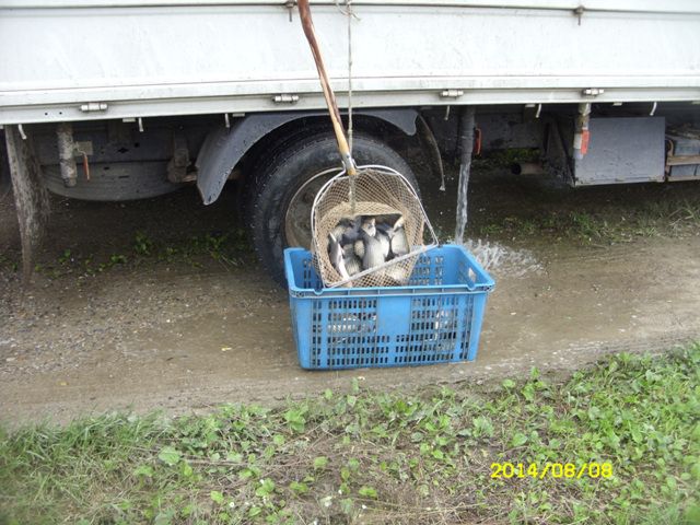 SDC14827.jpg
